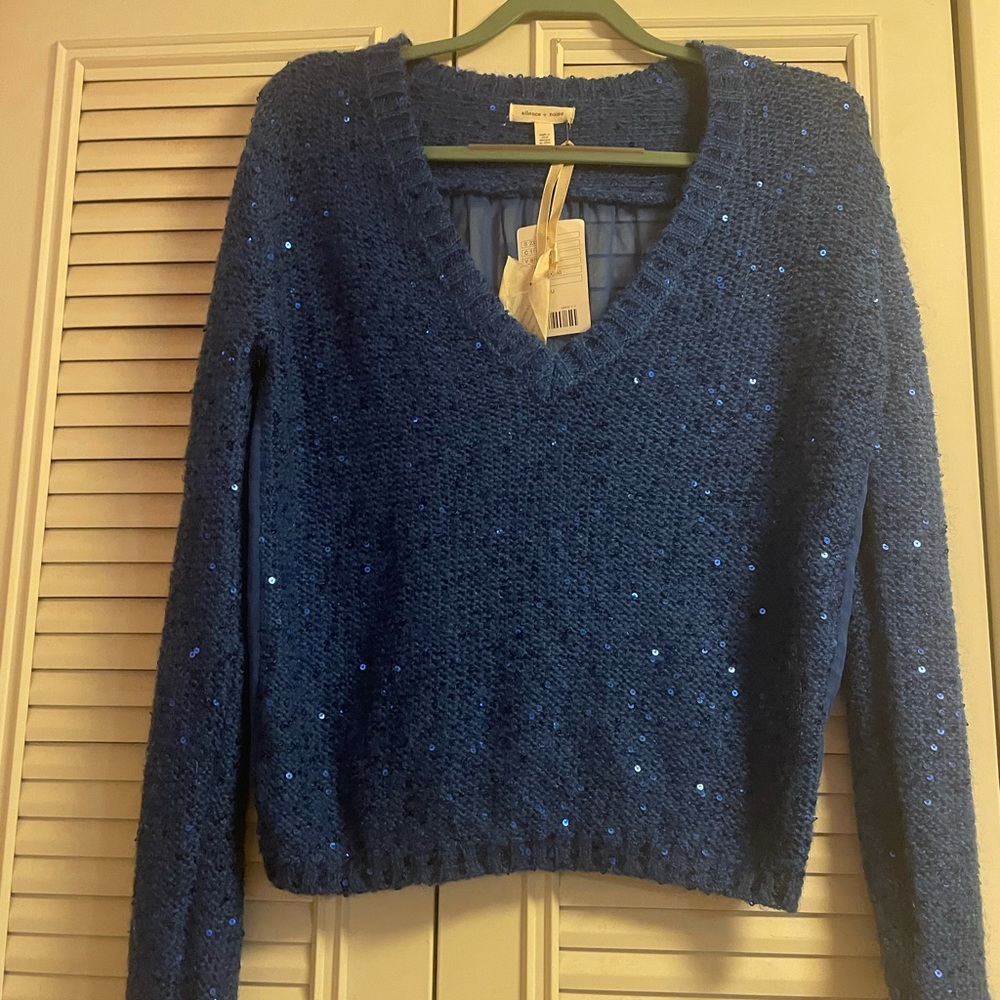 Beautiful Blue Sequin and Sheer Stylish V-Neck Sweater